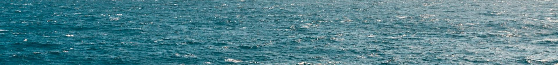Oceanographic surveying uses of Polymer Screws, Nuts, Bolts, and Fasteners