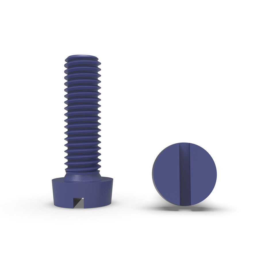 Vite a testa cilindrica con intaglio in acciaio inox A2-70 rivestita in PTFE/Teflon - DIN 84