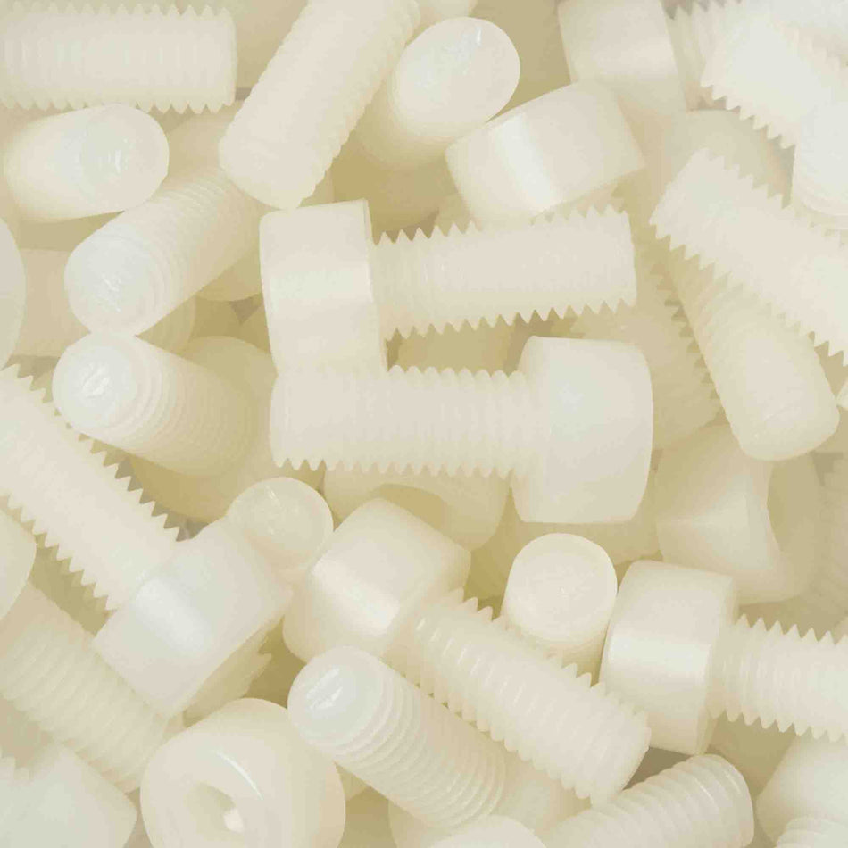 Viti a testa bombata in nylon con rondella in PTFE - Phillips con intaglio a croce - DIN 7985 / 125A